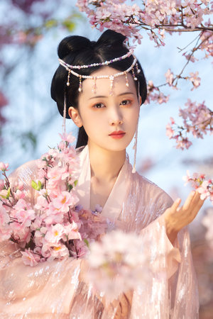 仙踪林不卡一卡二无线乱码新区